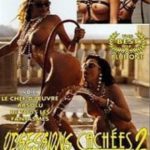 Тайные наваждения 2 (1993) watch online free porn