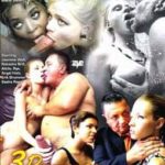 3 Perverse Geschichten (2012) watch online free porn